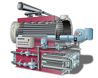 Digester Heating Systems Combination Boilers Heat Exchangers